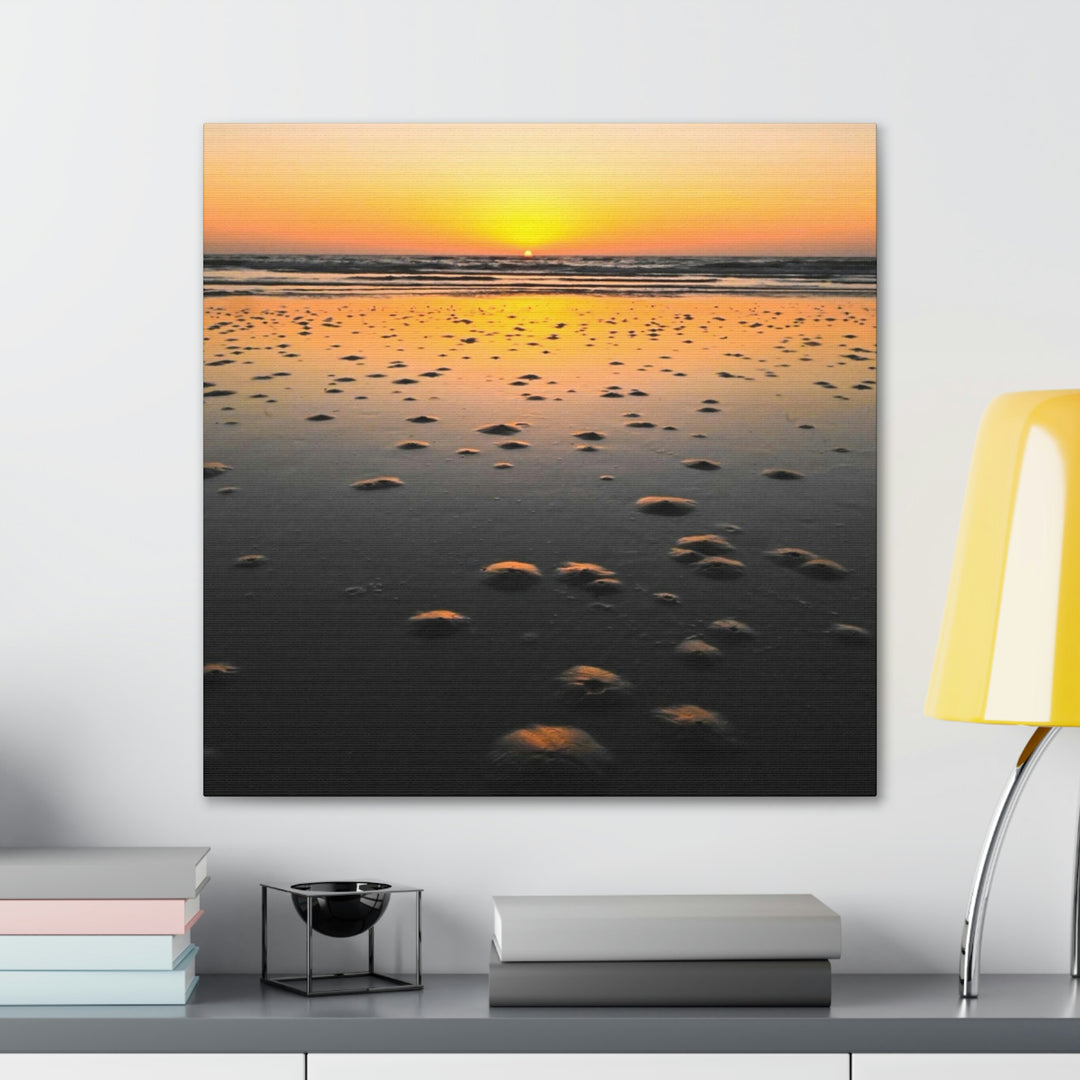 Burrows at Sunrise - Canvas