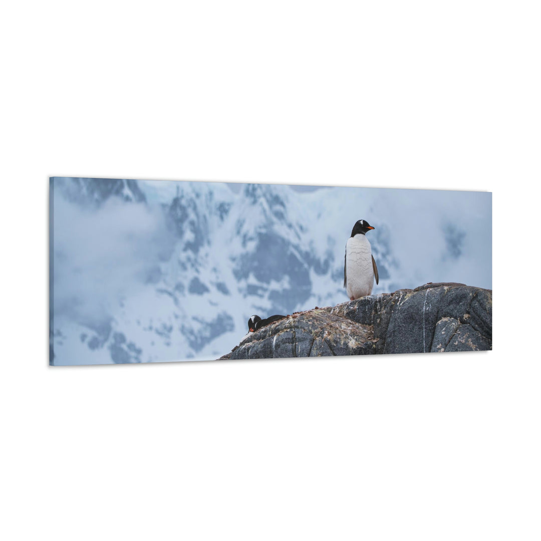 Poised Penguin - Canvas