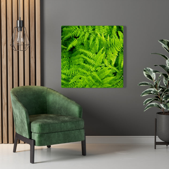 Ferns, Ferns, Ferns - Canvas