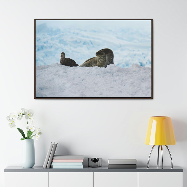 A Resting Pair - Canvas with Frame