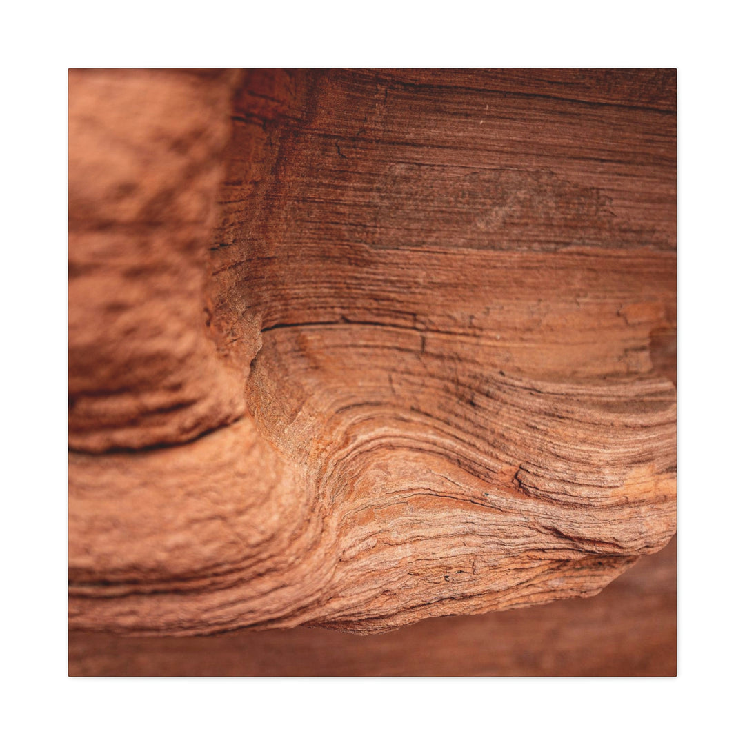 Sedimentary Rock Curves - Canvas