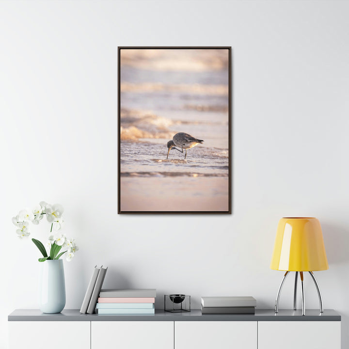 Willet Itch - Canvas with Frame