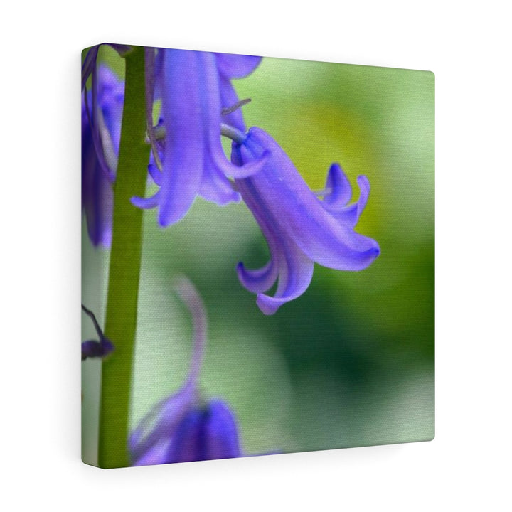 Delicate Bell - Canvas