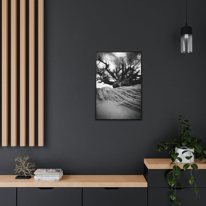 Desert Reach in Black and White - Canvas with Frame