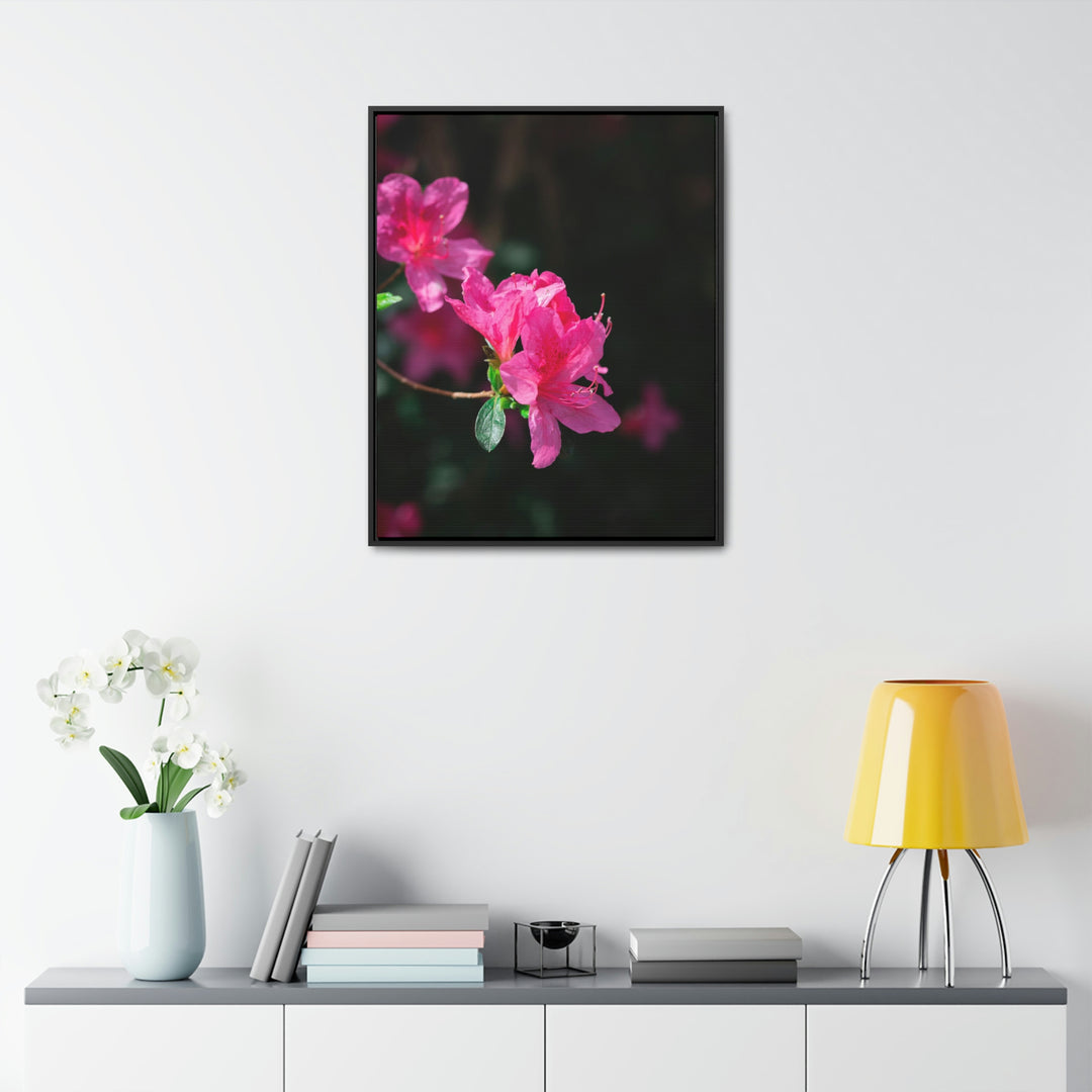 Standout Azalea - Canvas with Frame - Visiting This World