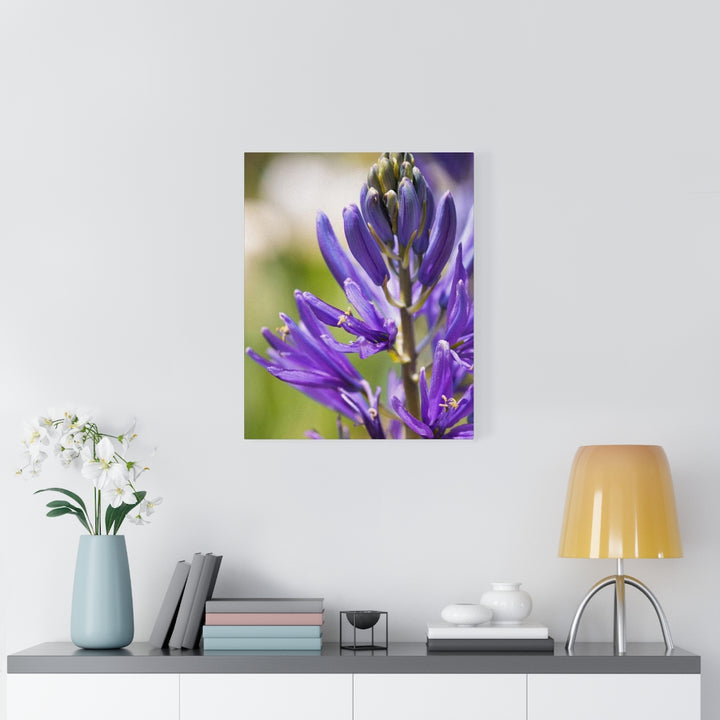 Camas in Bloom - Canvas