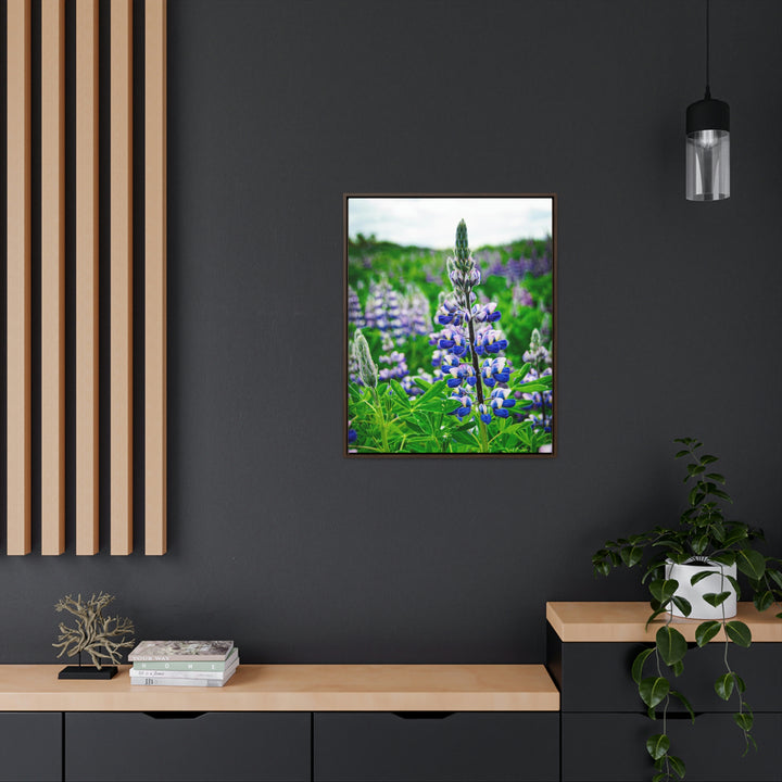 Glowing Lupin - Canvas with Frame