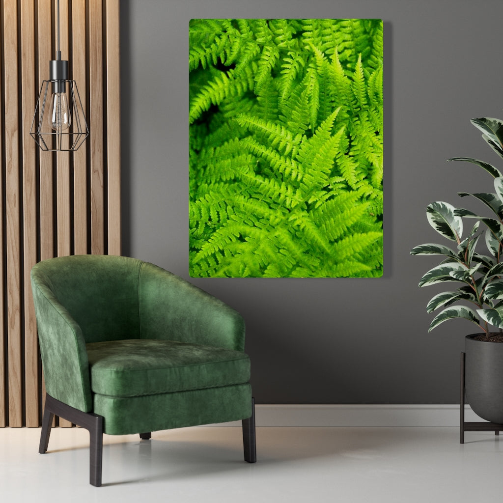 Ferns, Ferns, Ferns - Canvas