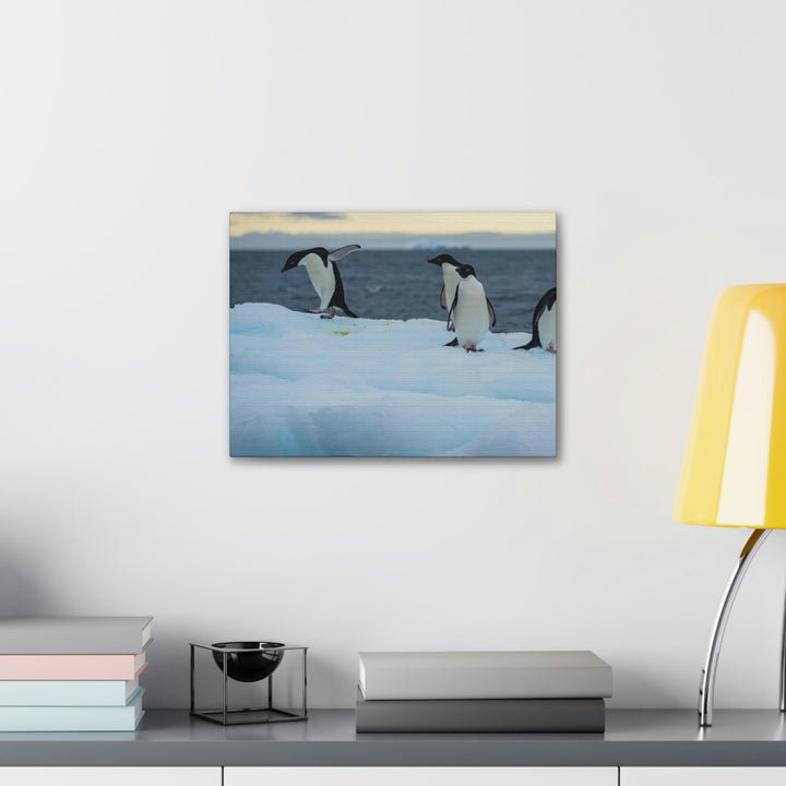 Penguin Dance - Canvas