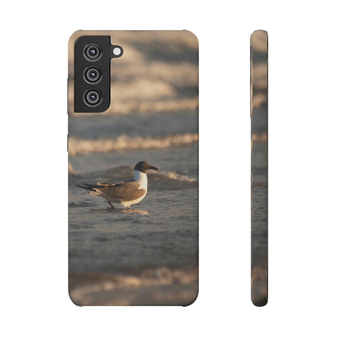 Laughing Gull in the Surf - Phone Case