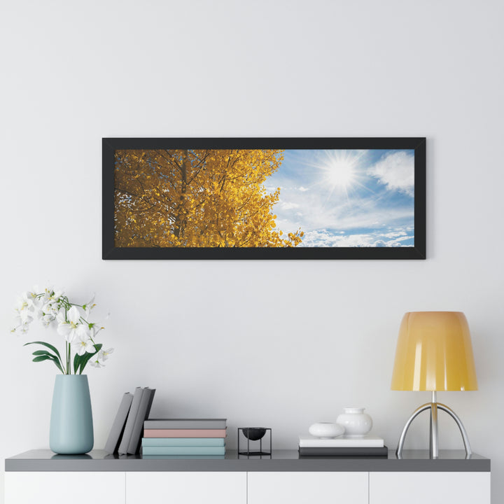 Golden Sunshine - Framed Print