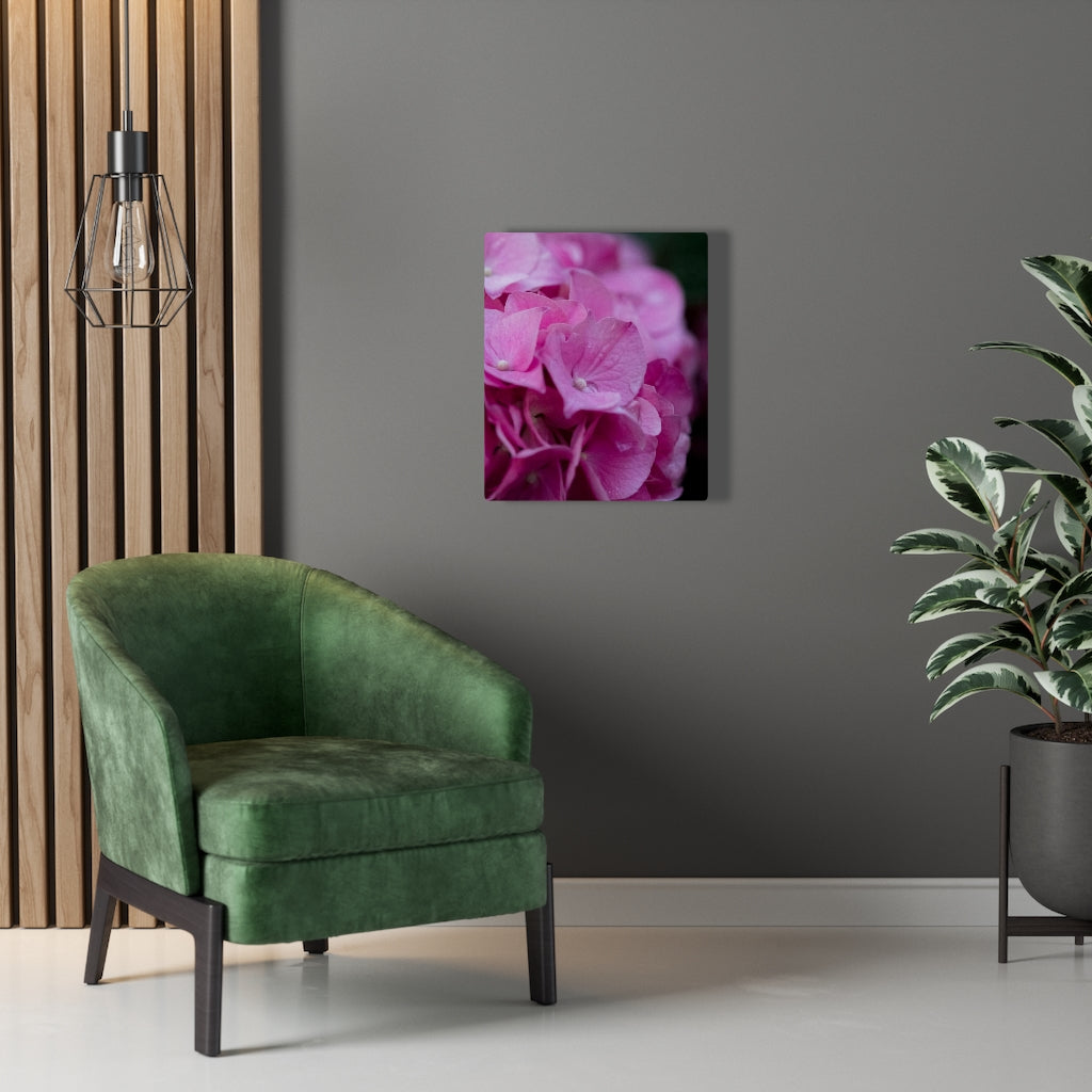 Pink Hydrangea Detail - Canvas