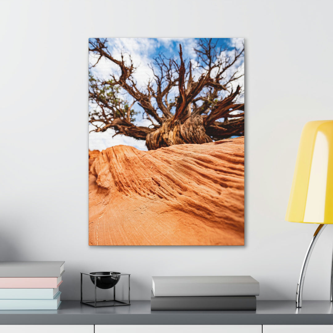 Desert Reach - Canvas