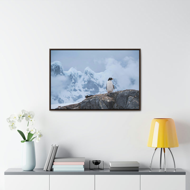 Poised Penguin - Canvas with Frame