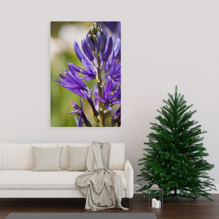 Camas in Bloom - Canvas