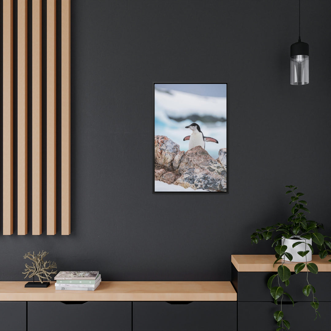 Stretched Penguin - Canvas with Frame