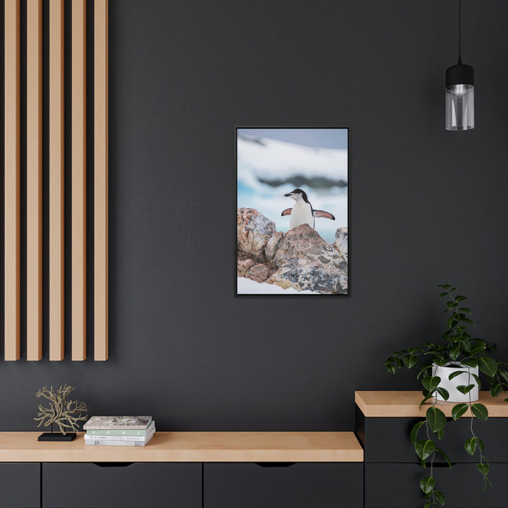 Stretched Penguin - Canvas with Frame