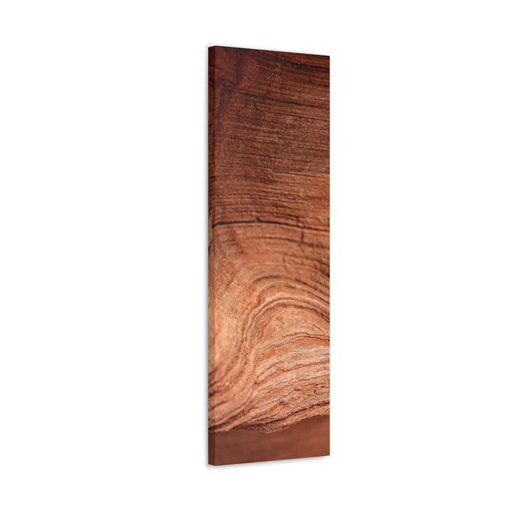 Sedimentary Rock Curves - Canvas