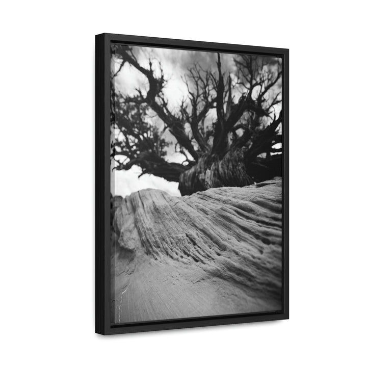 Desert Reach in Black and White - Canvas with Frame