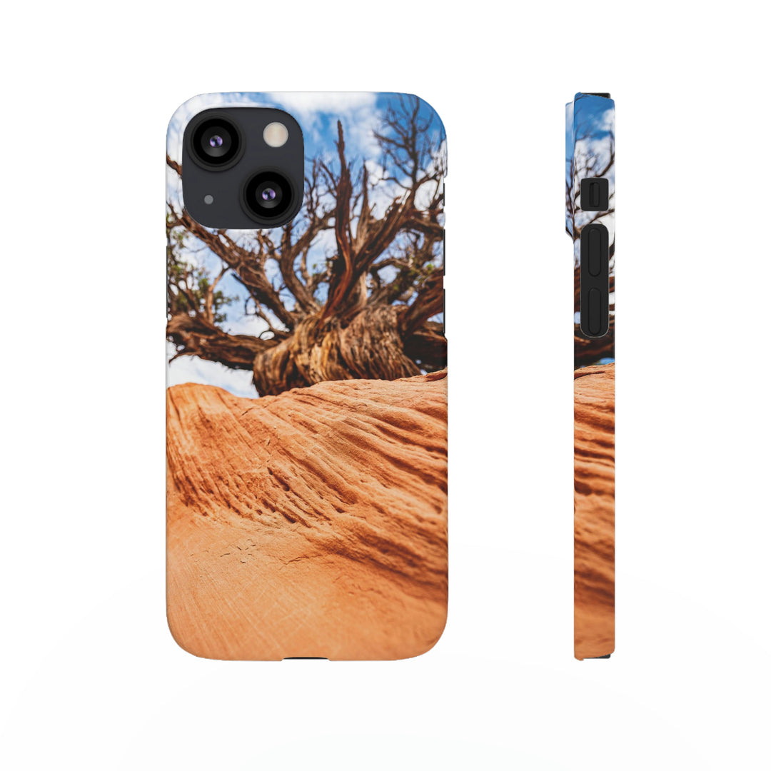 Desert Reach - Phone Case