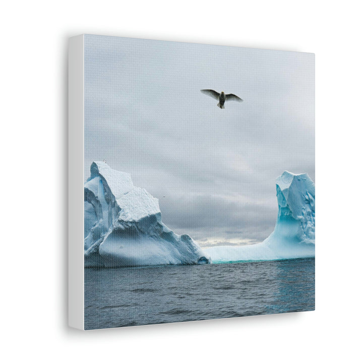 Antarctic Flight - Canvas