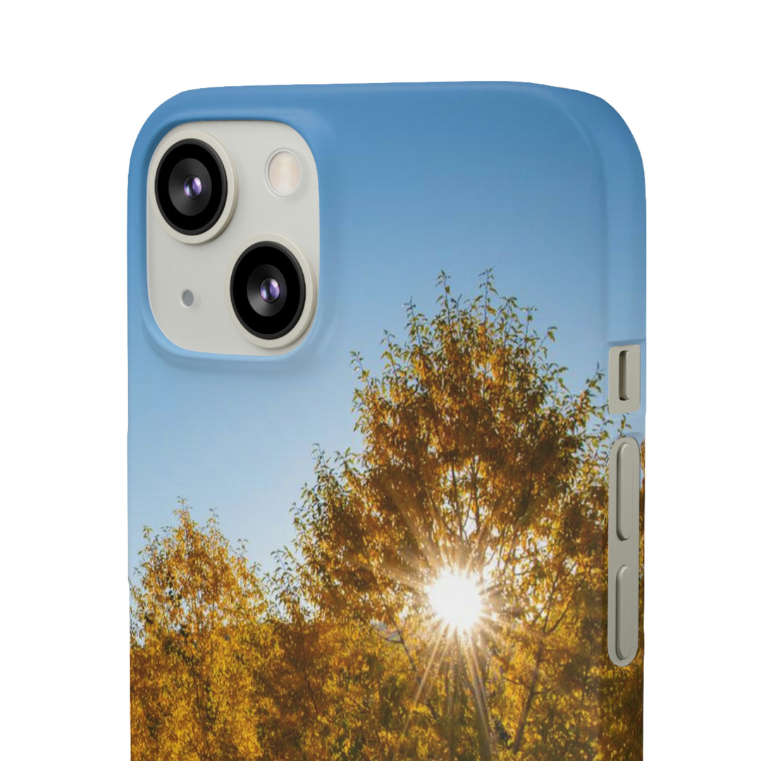 Sun Through the Aspens - Phone Case