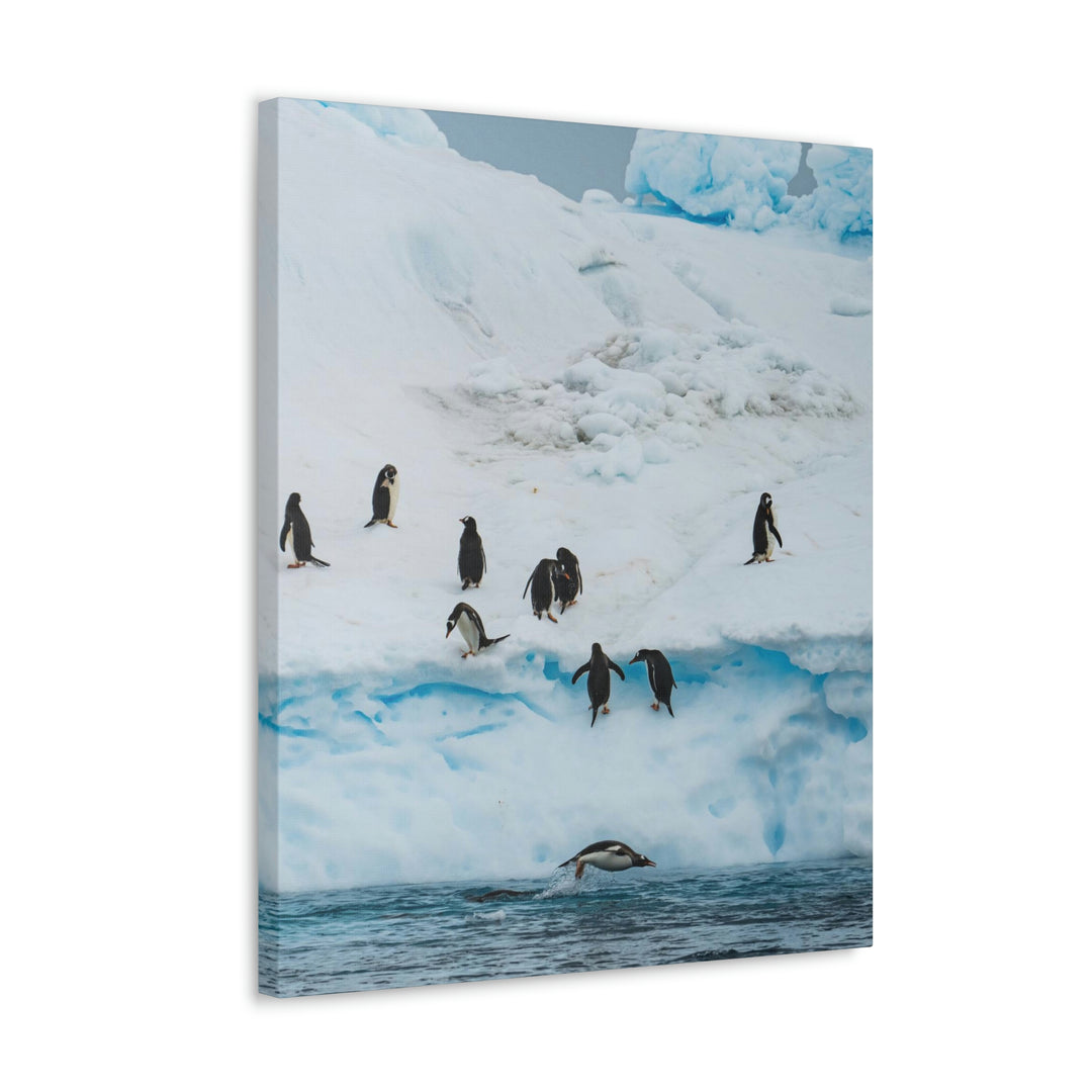 Porpoising Penguin - Canvas