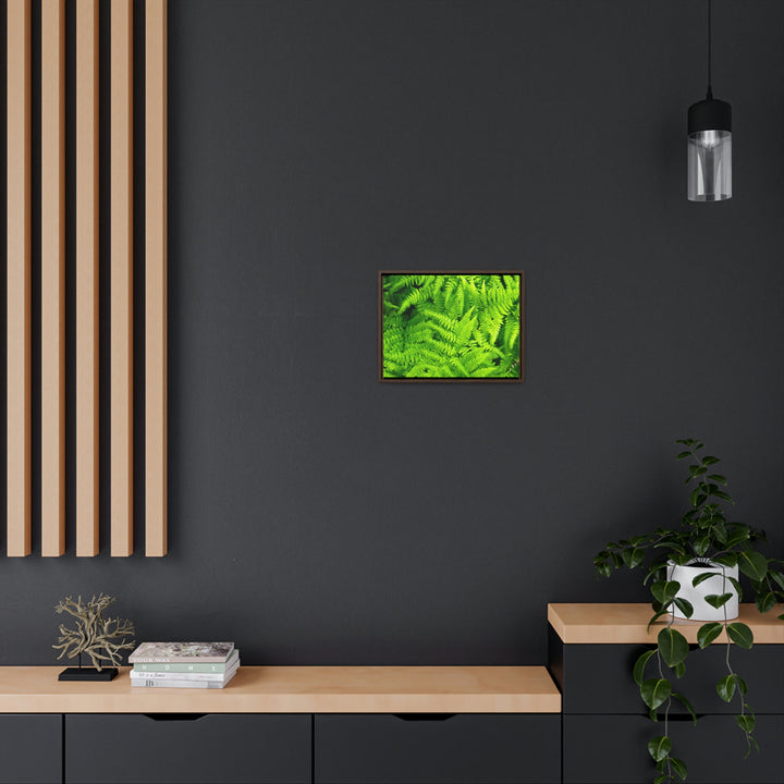 Ferns, Ferns, Ferns - Canvas with Frame