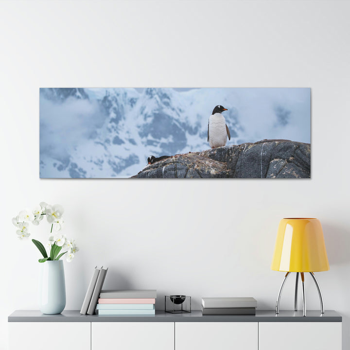 Poised Penguin - Canvas