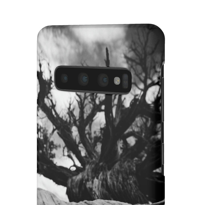 Desert Reach in Black and White - Phone Case