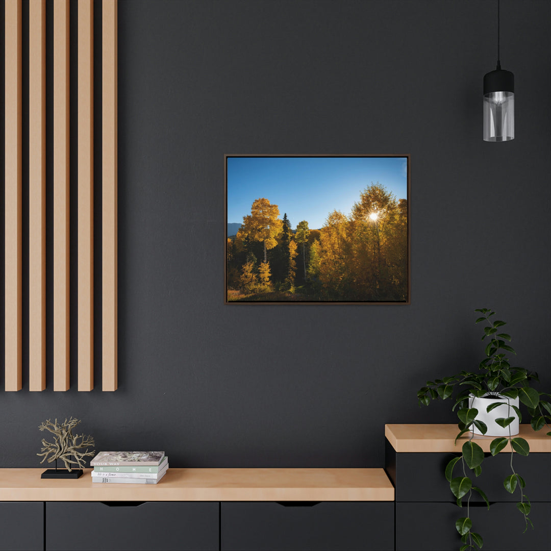 Sun Through the Aspens - Canvas with Frame