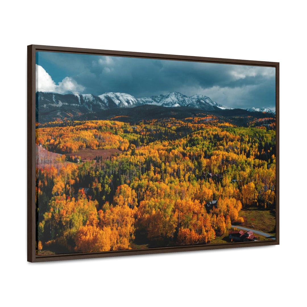 Golds of Autumn - Canvas with Frame