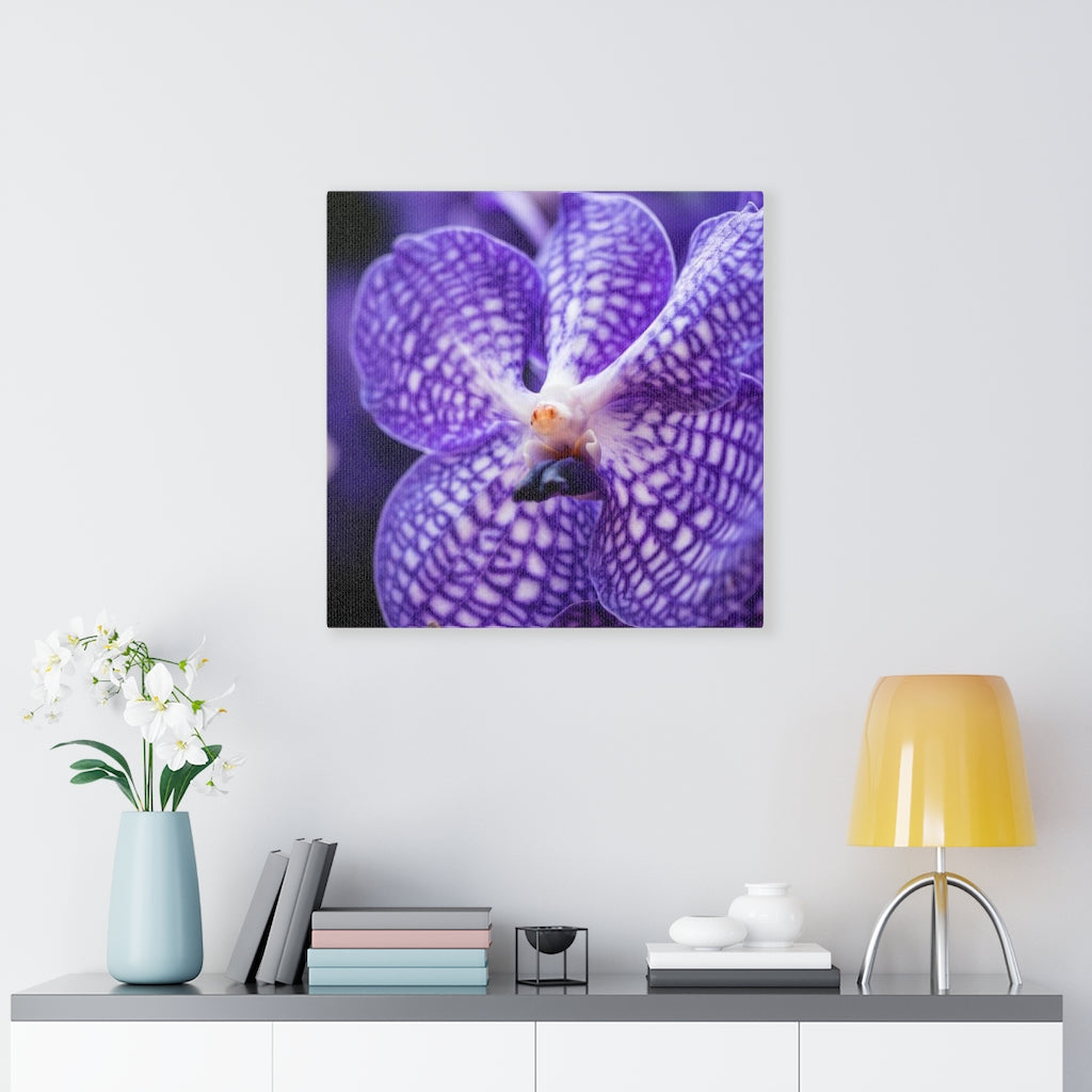 Orchid Detail - Canvas