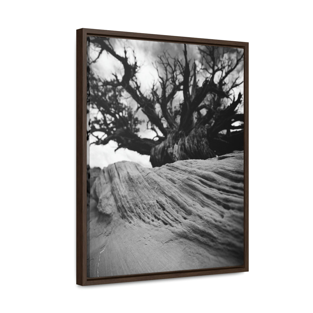 Desert Reach in Black and White - Canvas with Frame