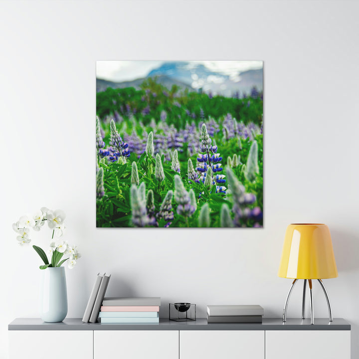 Glowing Lupin with Mountains - Canvas