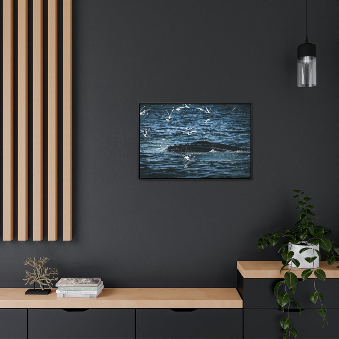 Humpback Hello - Canvas with Frame