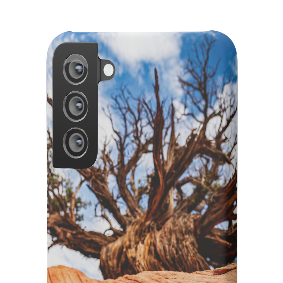 Desert Reach - Phone Case