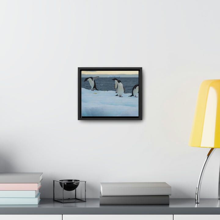 Penguin Dance - Canvas with Frame