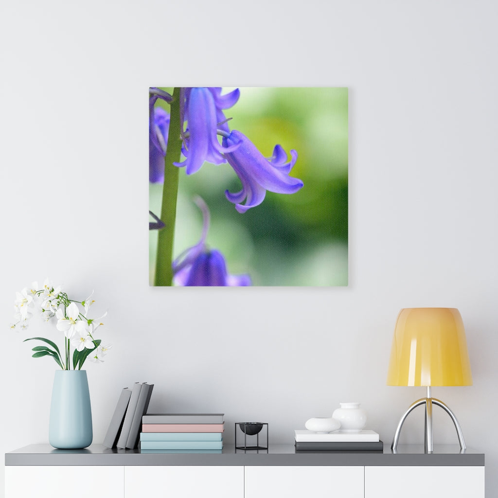 Delicate Bell - Canvas