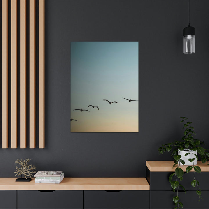 Brown Pelicans in Flight - Canvas