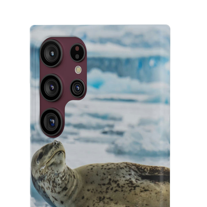 Leopard Seal Relaxing - Phone Case