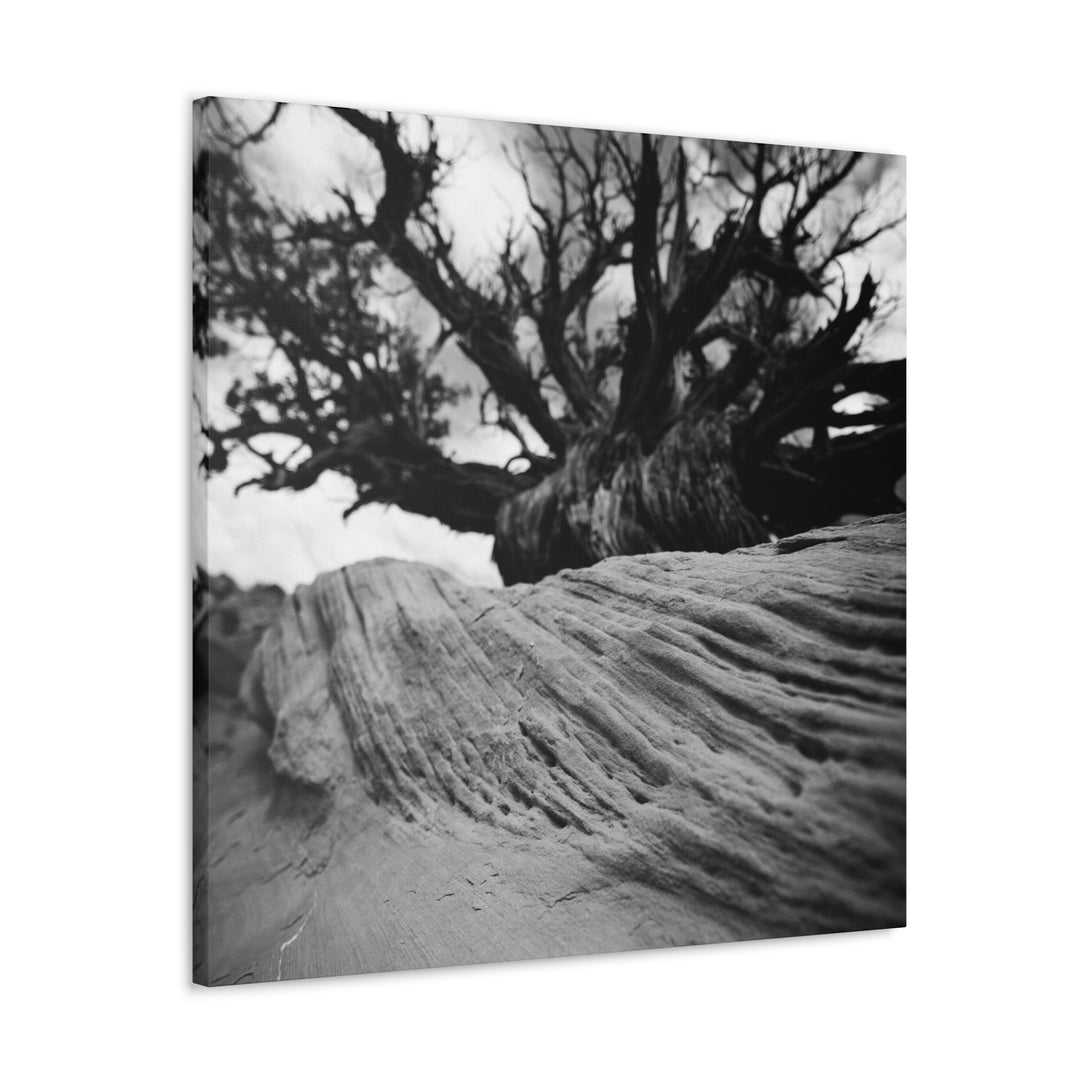 Desert Reach in Black and White - Canvas