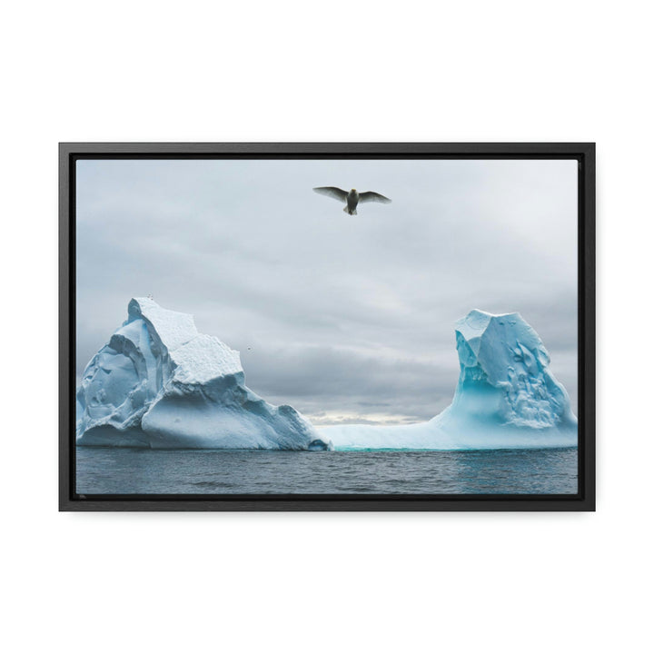 Antarctic Flight - Canvas with Frame