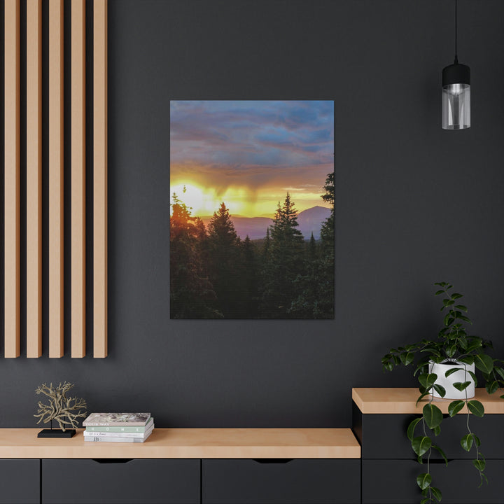 Rainy Sunset Through the Trees - Canvas