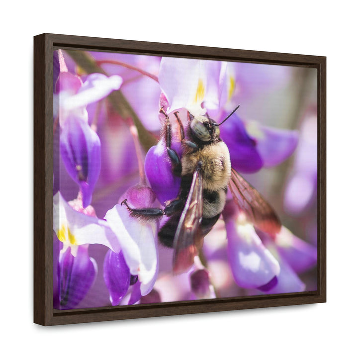 Hungry Visitor - Canvas with Frame