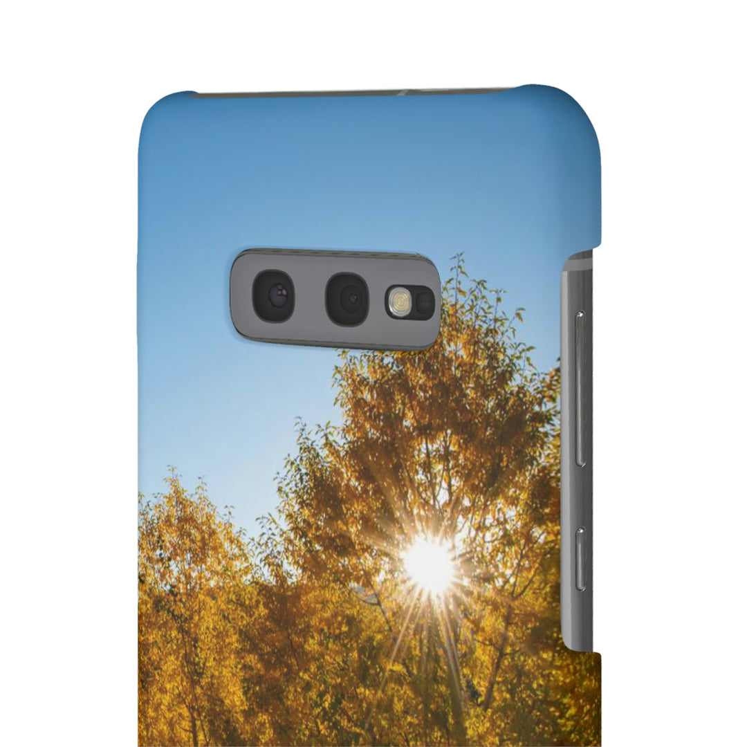 Sun Through the Aspens - Phone Case