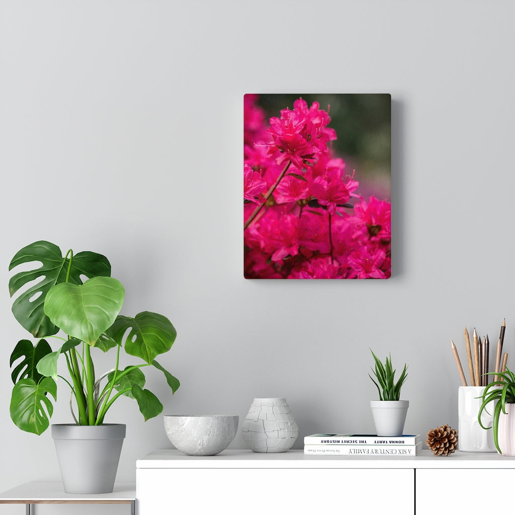 Full Bloom - Canvas