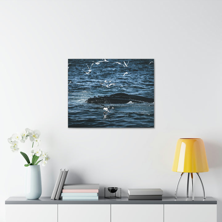 Humpback Hello - Canvas