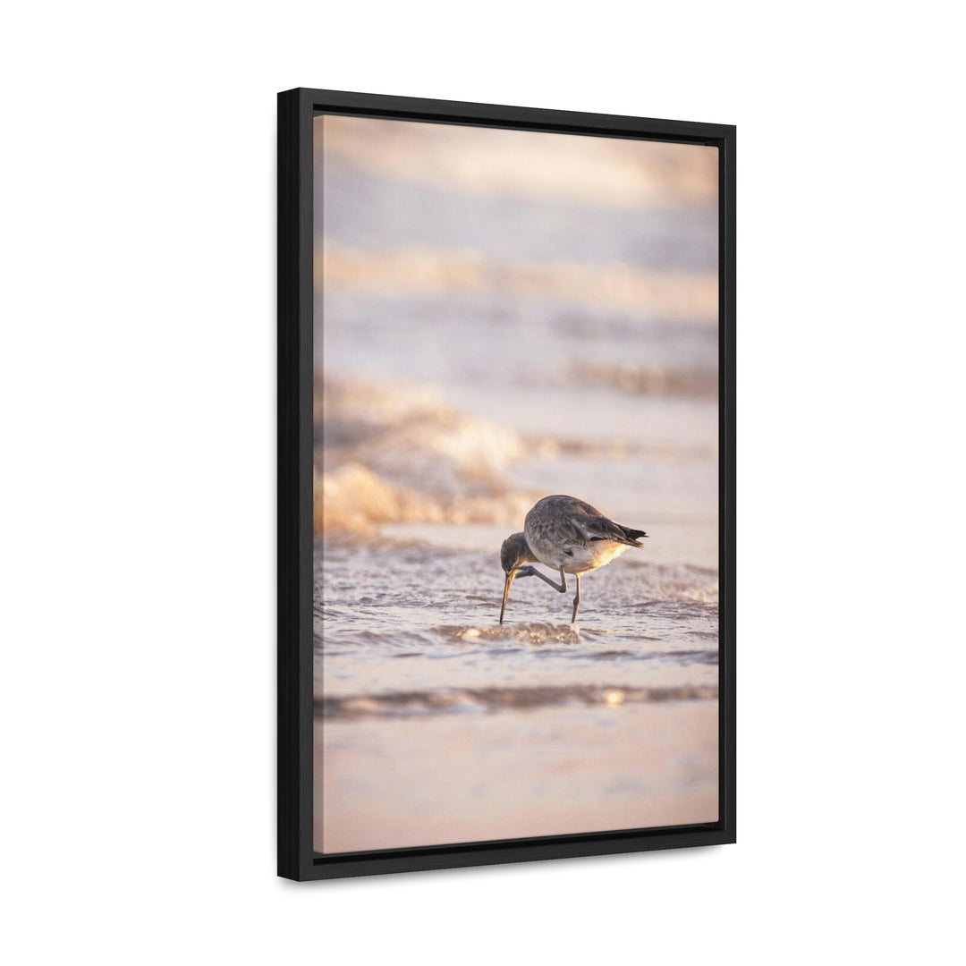 Willet Itch - Canvas with Frame