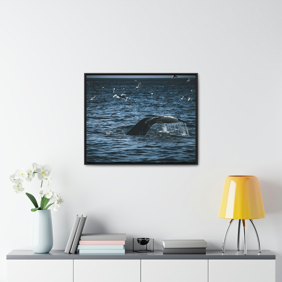 Feeding Tail - Canvas with Frame